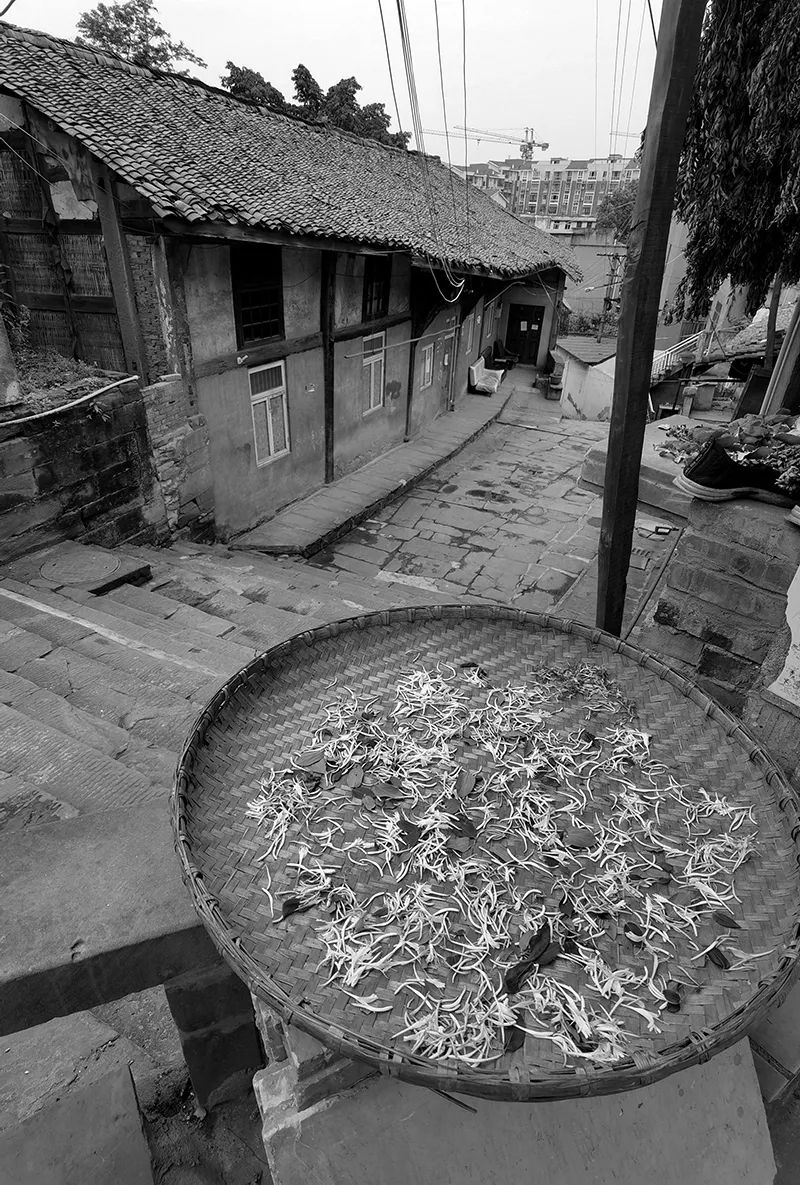 淮口镇|这些老街巷都变了样!