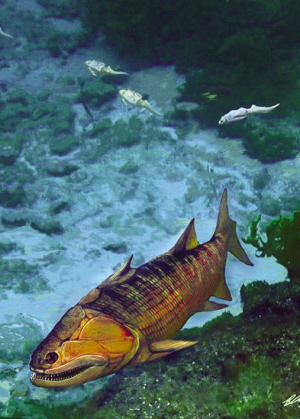 最神秘古老的鱼有哪些