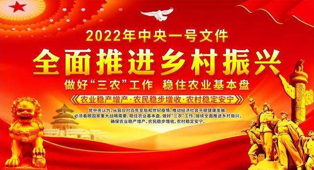 乘政策之风,借平台之力—九润生活全力推进数商兴农