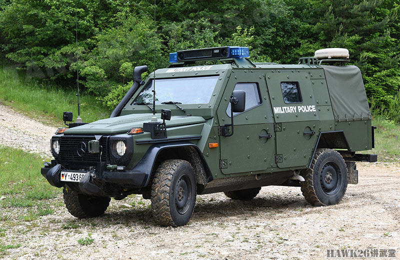 走进德军第3宪兵团 两款罕见的专用轻型装甲车 有效威慑不法之徒