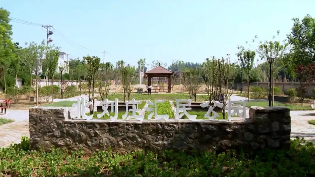 青龙湖镇:全面提高生态文明建设水平,促进镇域高质量发展