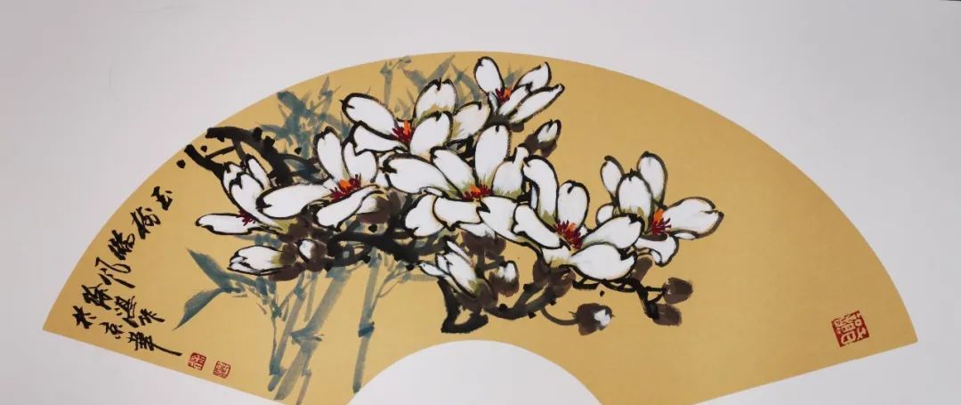 徐湛老师玉兰扇面作品欣赏