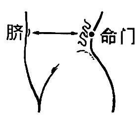 命门准确位置图图解图片