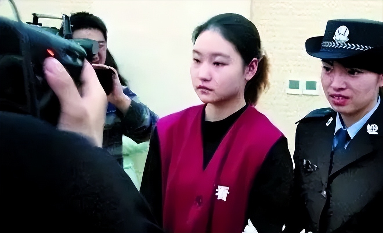 "南城房姐"张燕:手握10套北京房产,为何会沦为阶下囚?