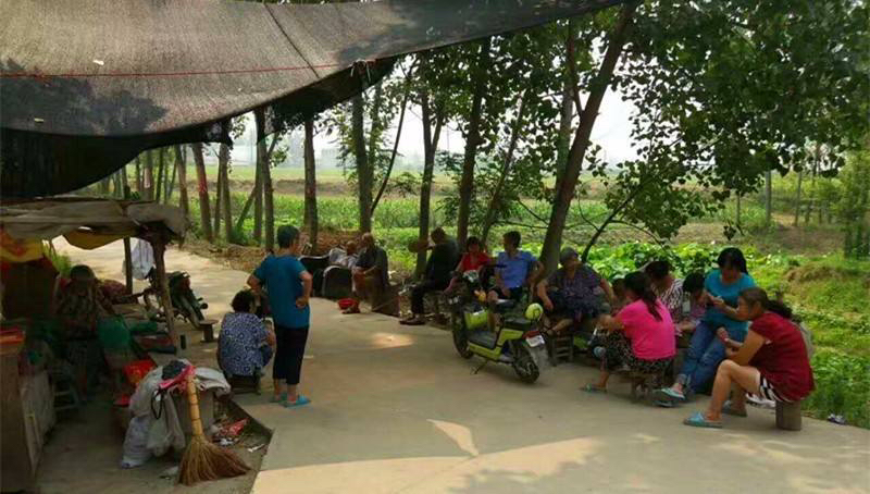 农村的村口为何每天都可以坐满人?他们聚集在一起聊些什么?