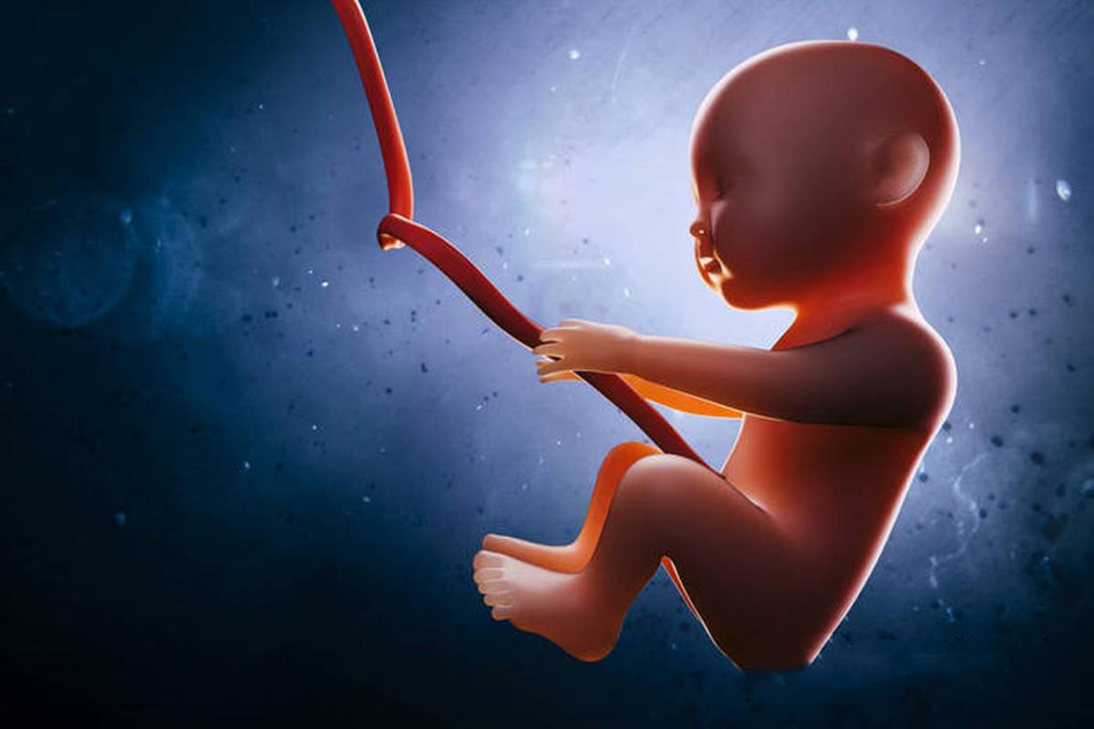 17周胎儿图片孕妇体型图片