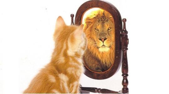 俗话说的"牛不知角弯 马不知脸长"是什么意思?普通人很难做到