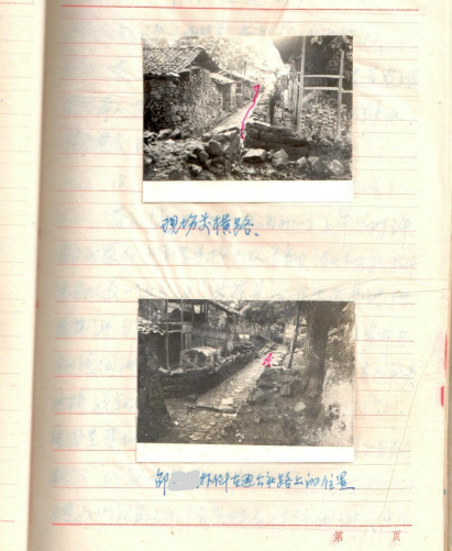 |因一棵板栗树,他抽出尖刀刺向对方,死后11年仍没逃过警方追捕