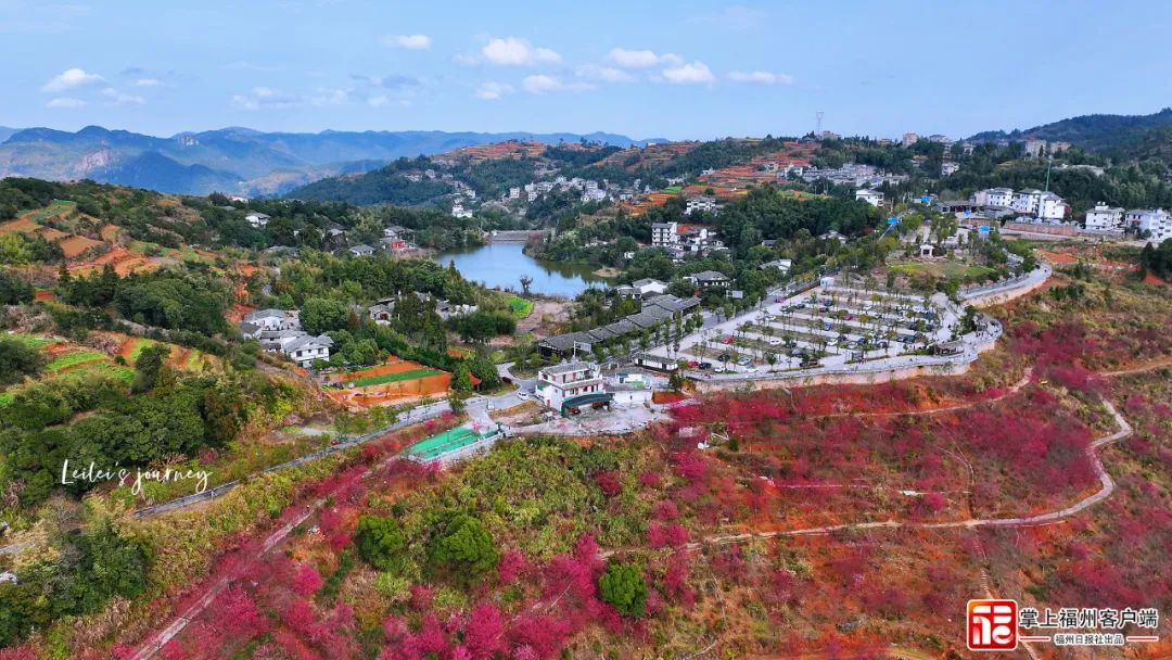 浪漫的櫻花市區也有在牛崗山公園,鼓嶺嘉湖,山櫻似海,花林成片,滿樹