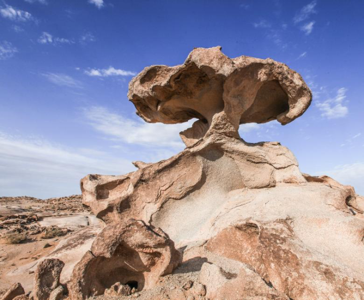 带上知识去旅行:风沙地貌