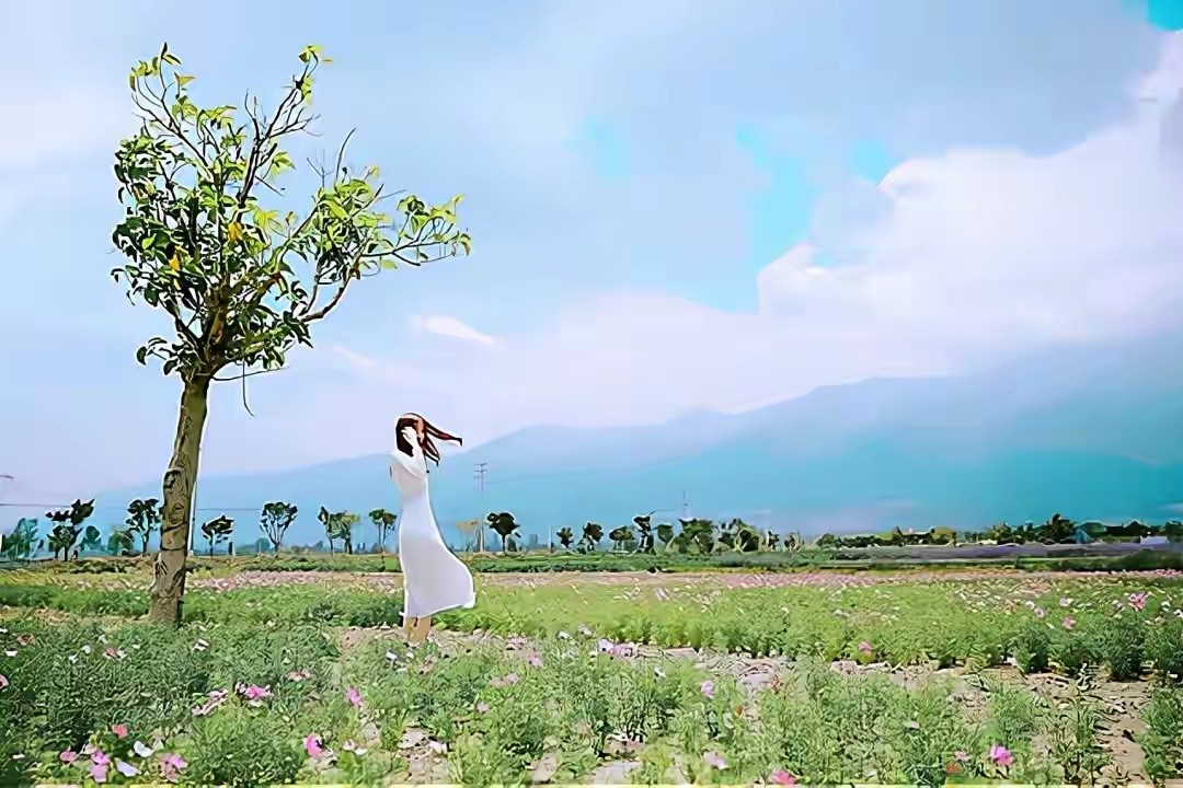 《内心强大的女人最优雅》 作为女人需要丰富自我