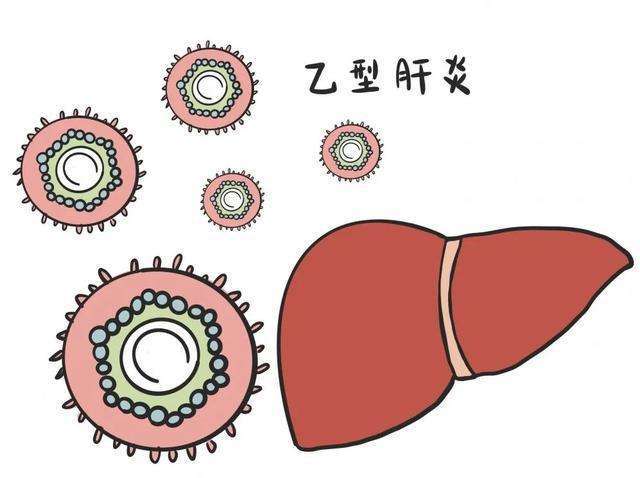 乙肝是怎么得的 baijiahao.baidu.com