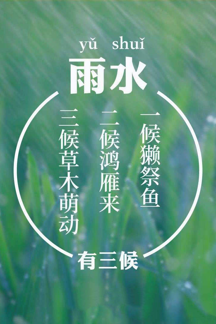 关于雨水的谚语图片