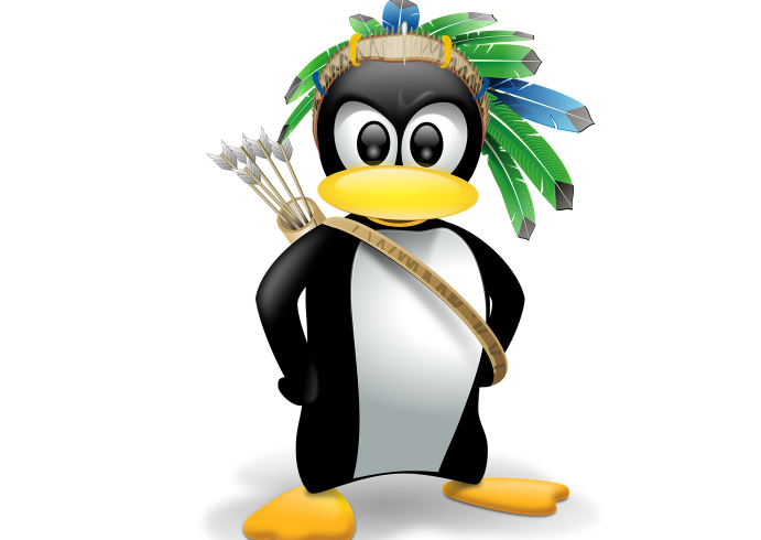 企鹅是如何成为linux官方吉祥物的?
