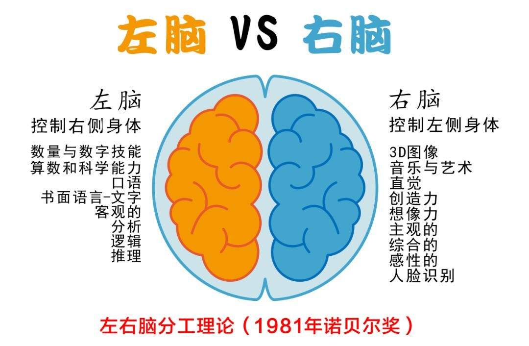 1~6岁是孩子右脑开发黄金期,6个秘籍,帮宝宝开发右脑潜能