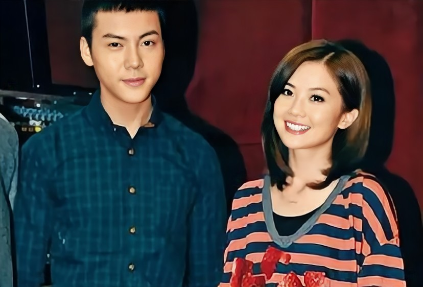 离婚12年后,再看蔡卓妍,郑中基的各自境遇