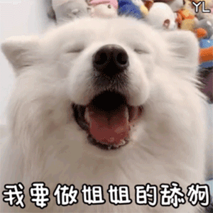 舔狗系列表情包合集