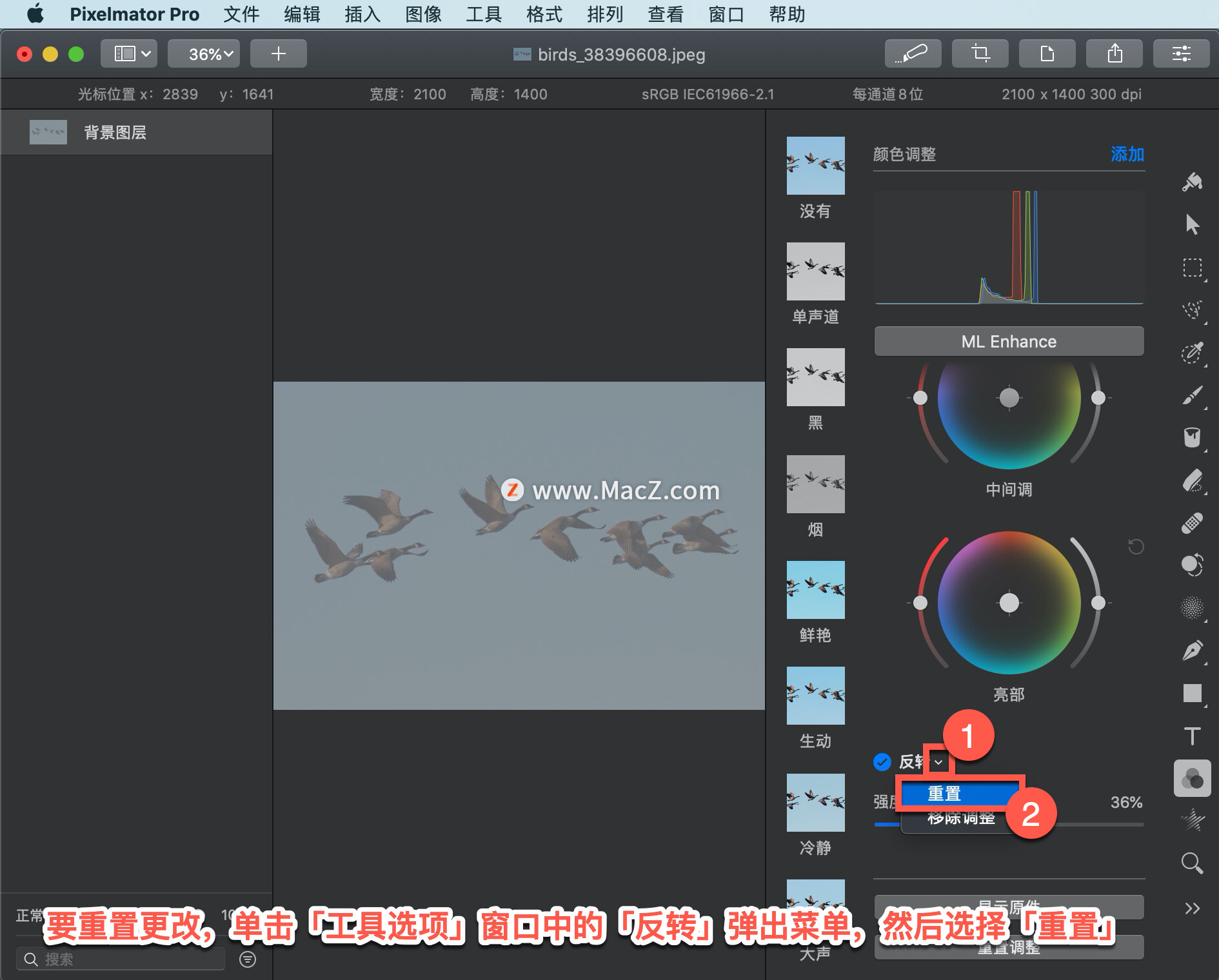 如何在图像编辑软件pixelmator pro中反转图像的颜色?