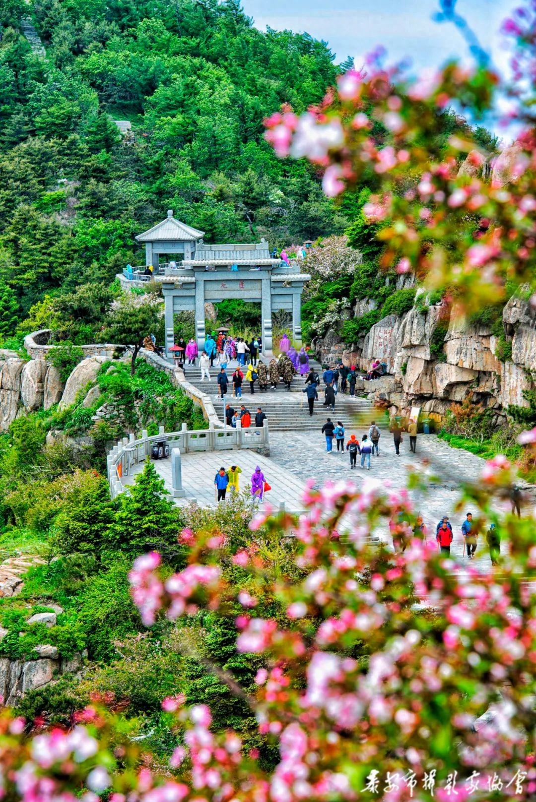 周长征摄影作品:锦绣泰山 美不胜收