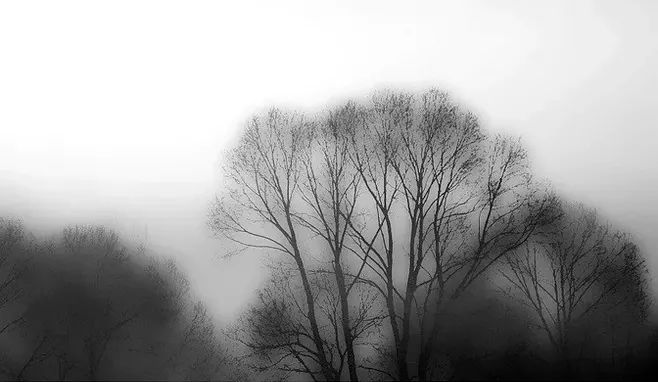 宋长征:陶渊明的逃脱术