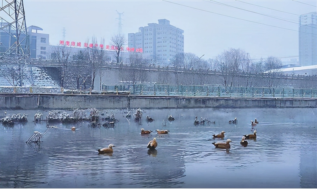 柳林:飞雪迎大寒 清河美如画