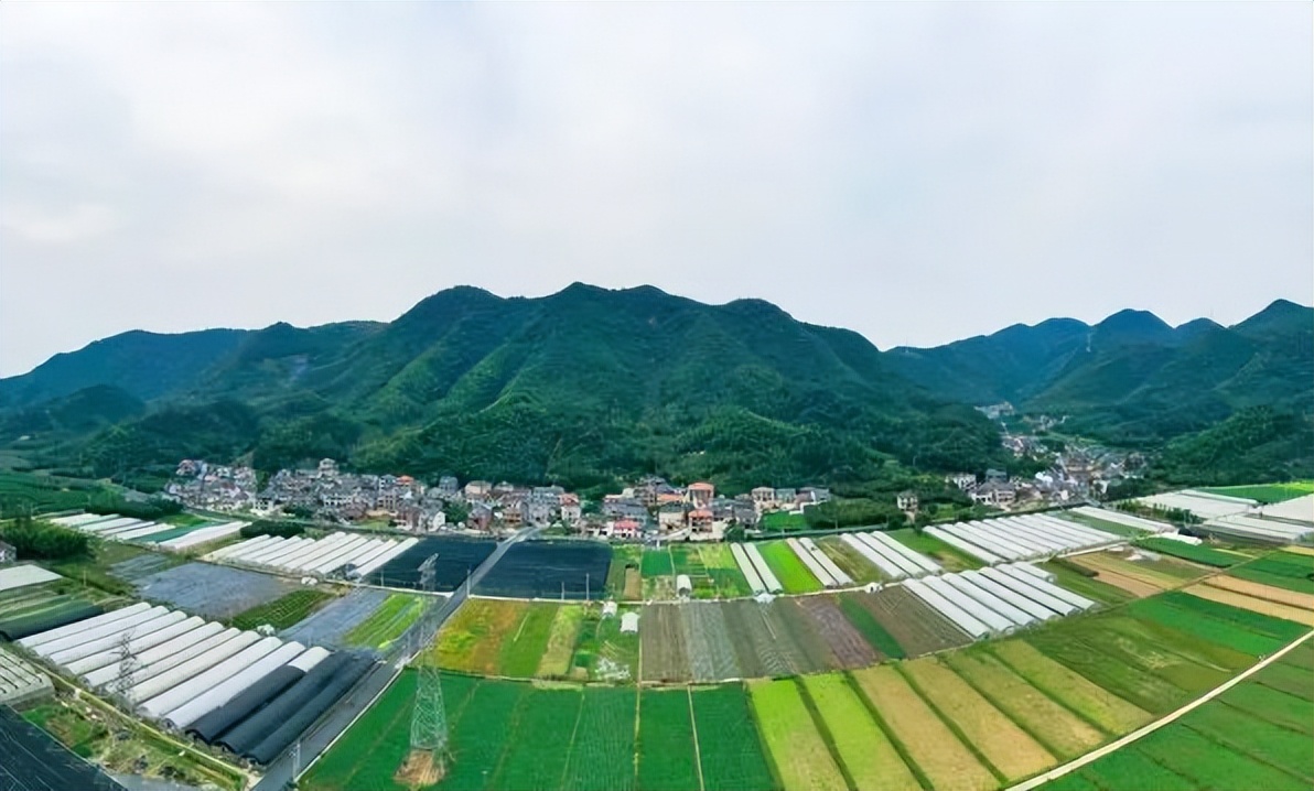 "五美"集成!临安区板桥镇打造农业特色型美丽城镇