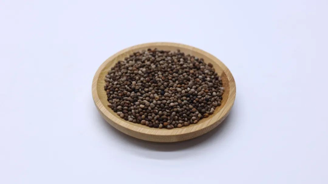 农村常见的5种野草,是缓解手脚麻木,降血脂的好中药 现在人们对自己的