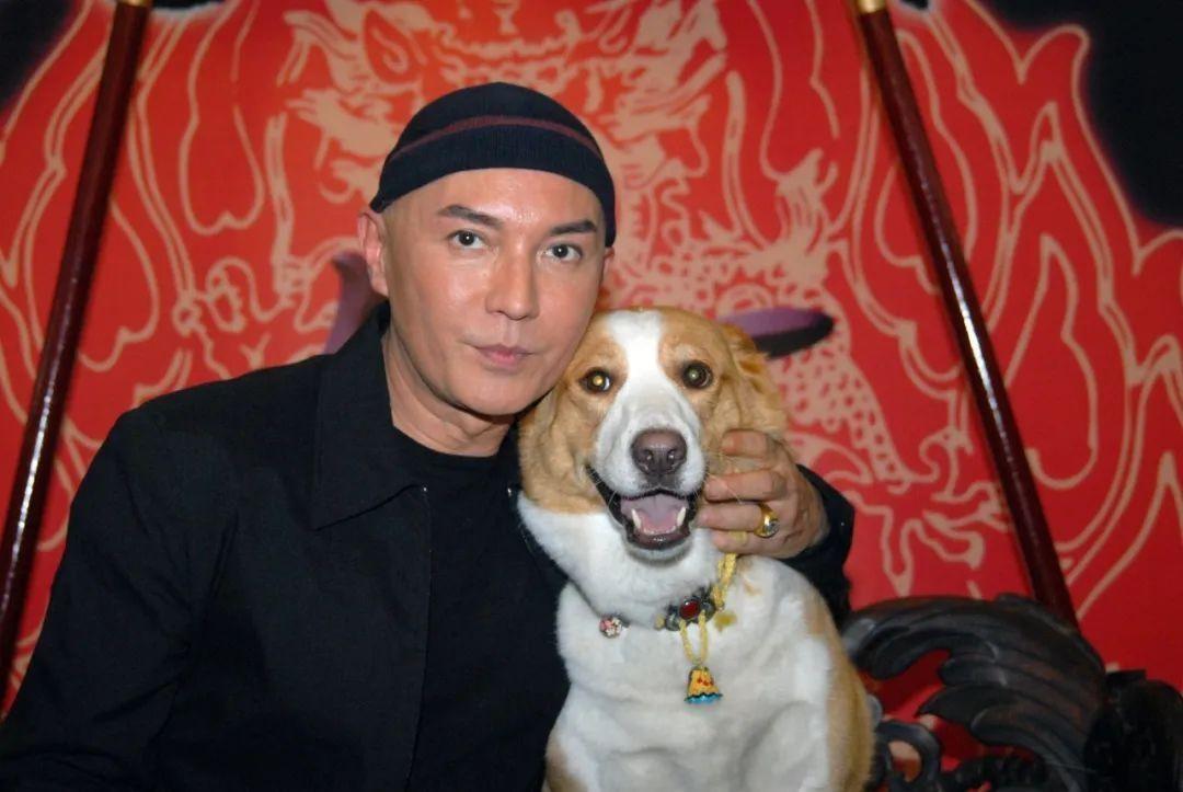 美男尊龙:孤儿出身长了一张混血脸,70岁优雅变老,走后不要墓碑
