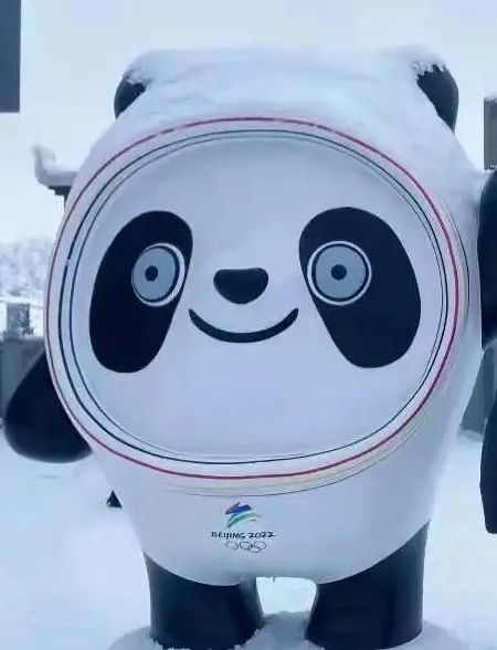 未来一周巴山大峡谷罗盘顶持续有雪墩墩儿喊你来滑雪