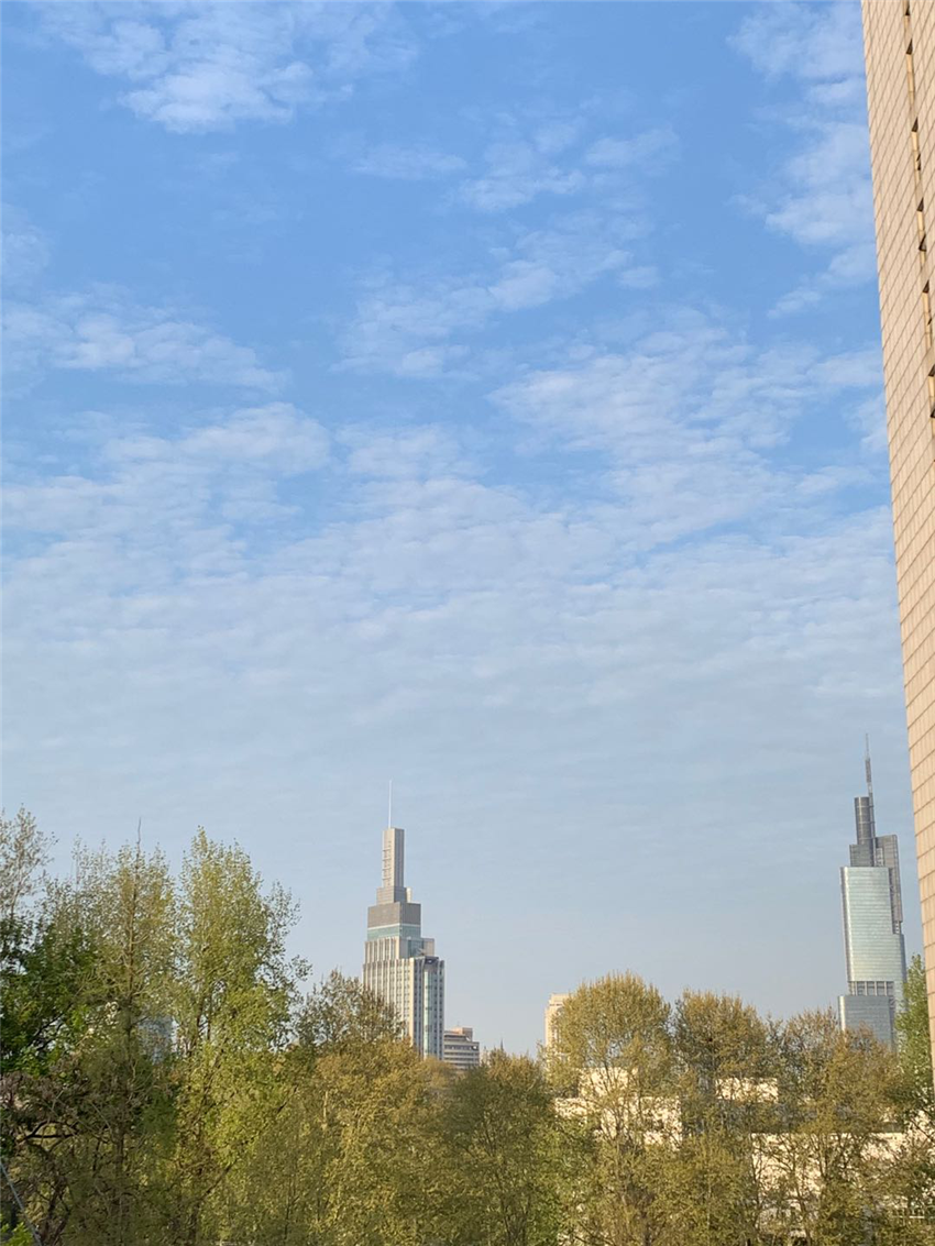 南京亮出生态环境状况半年"成绩单"