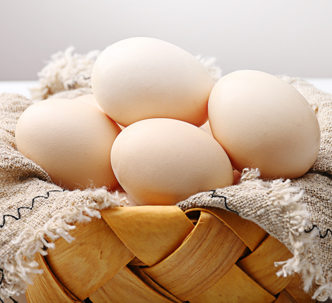 山南藏鸡蛋丨更易被人体吸收的土鸡蛋