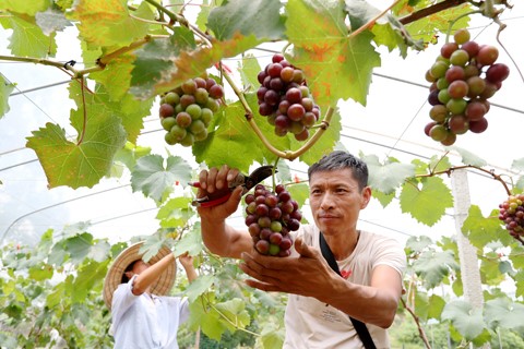 陈贵云赴渝北区走访看望市政协委员