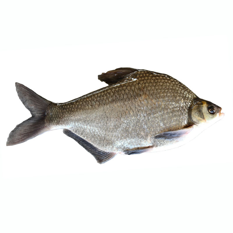 黑龙江"上品三花"