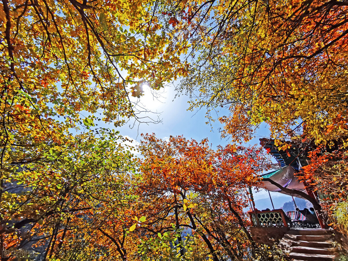 秋天上帝把最美的秋色给了西北甘肃,兰州的秋天光看图片就醉了