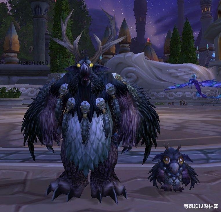 《魔兽世界》正式服,我说这版本最大赢家是德鲁伊,你不反对吧?