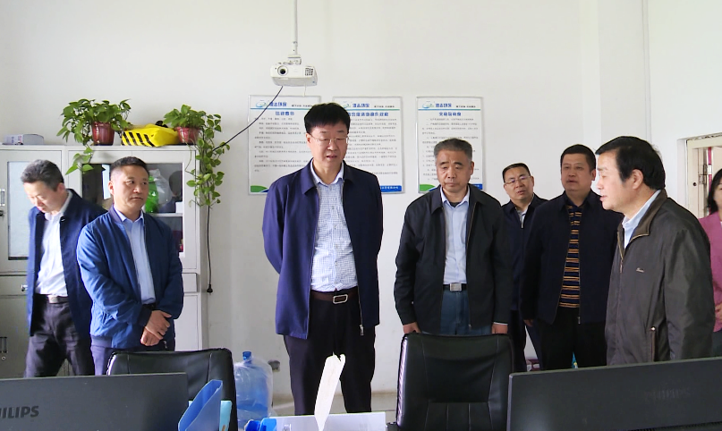 胡明莹赴临泉督导突出生态环境问题整改情况