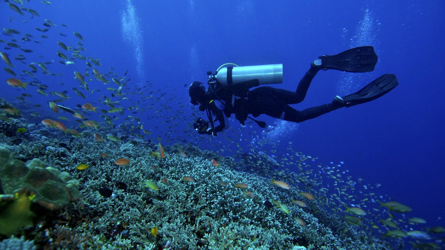 中国首艘万吨轮跃进号,首航日本即沉没,周总理:严查到底