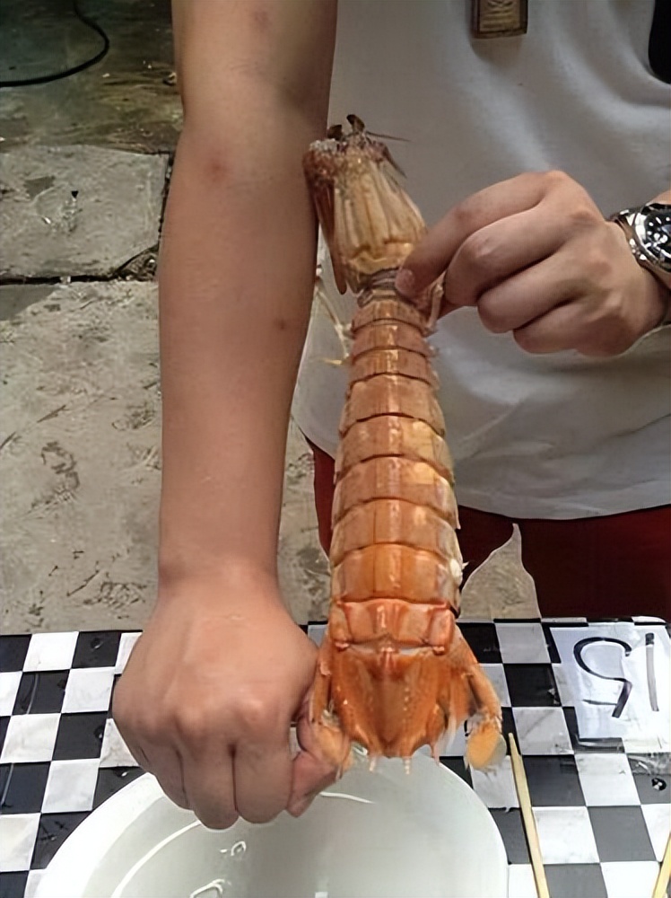 手臂粗的皮皮虾看着都带劲,想吃这大家伙真不容易,挖了一米深