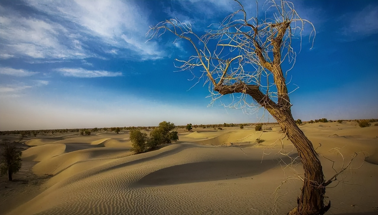 塔克拉玛干沙漠发现地下海,淡水储量超过20%,为什么不开采?