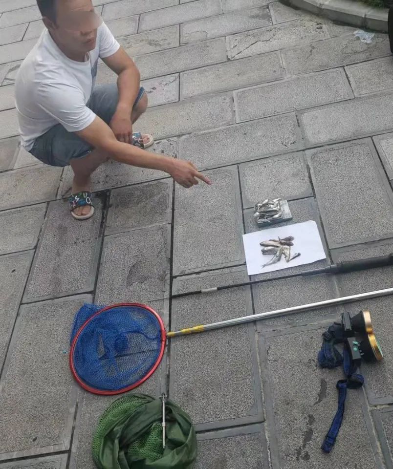 遵义:又是贪嘴惹的祸!两男子非法电鱼被抓现行