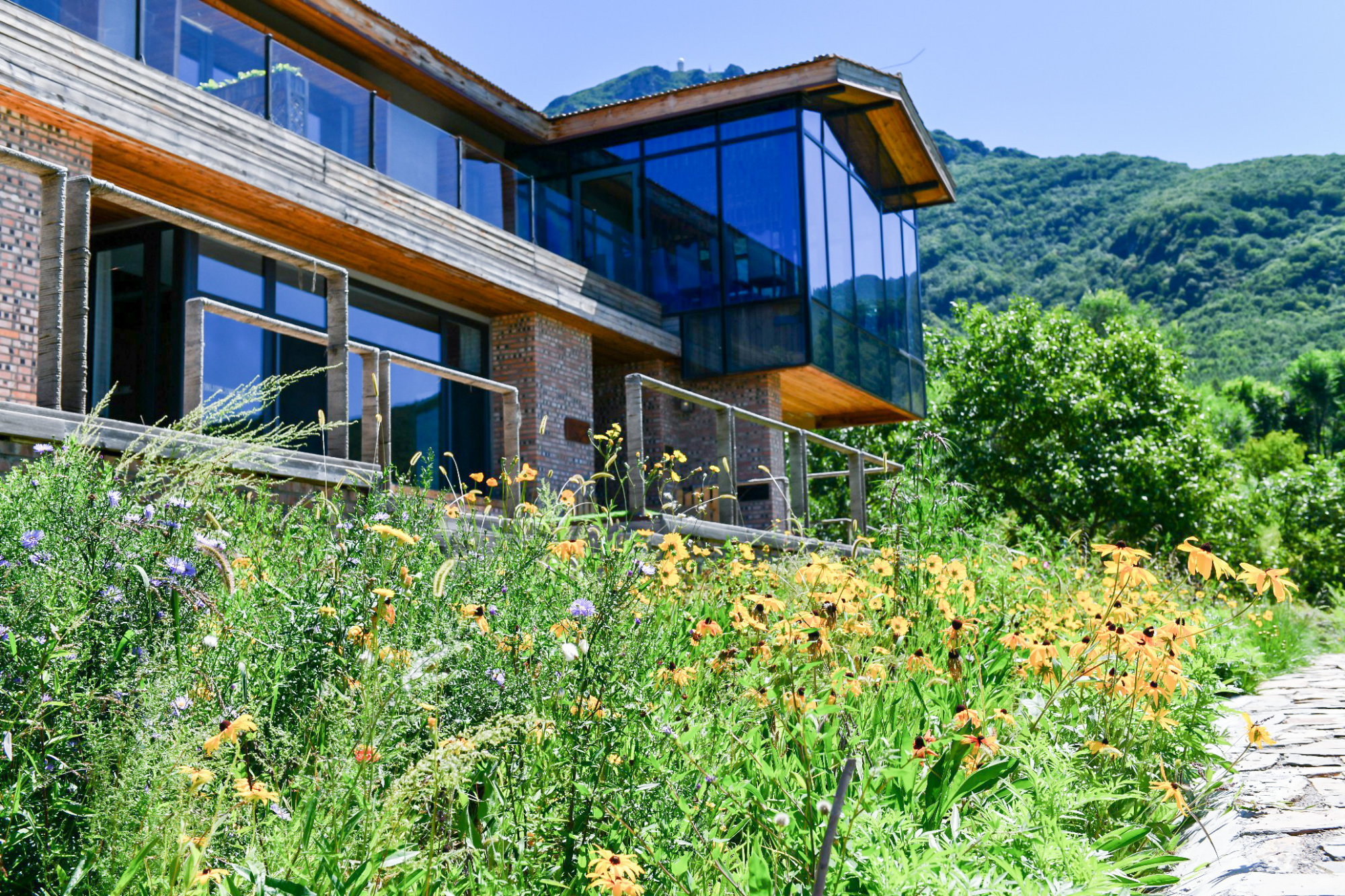 门头沟区举办京台民宿云端赋能发展交流活动