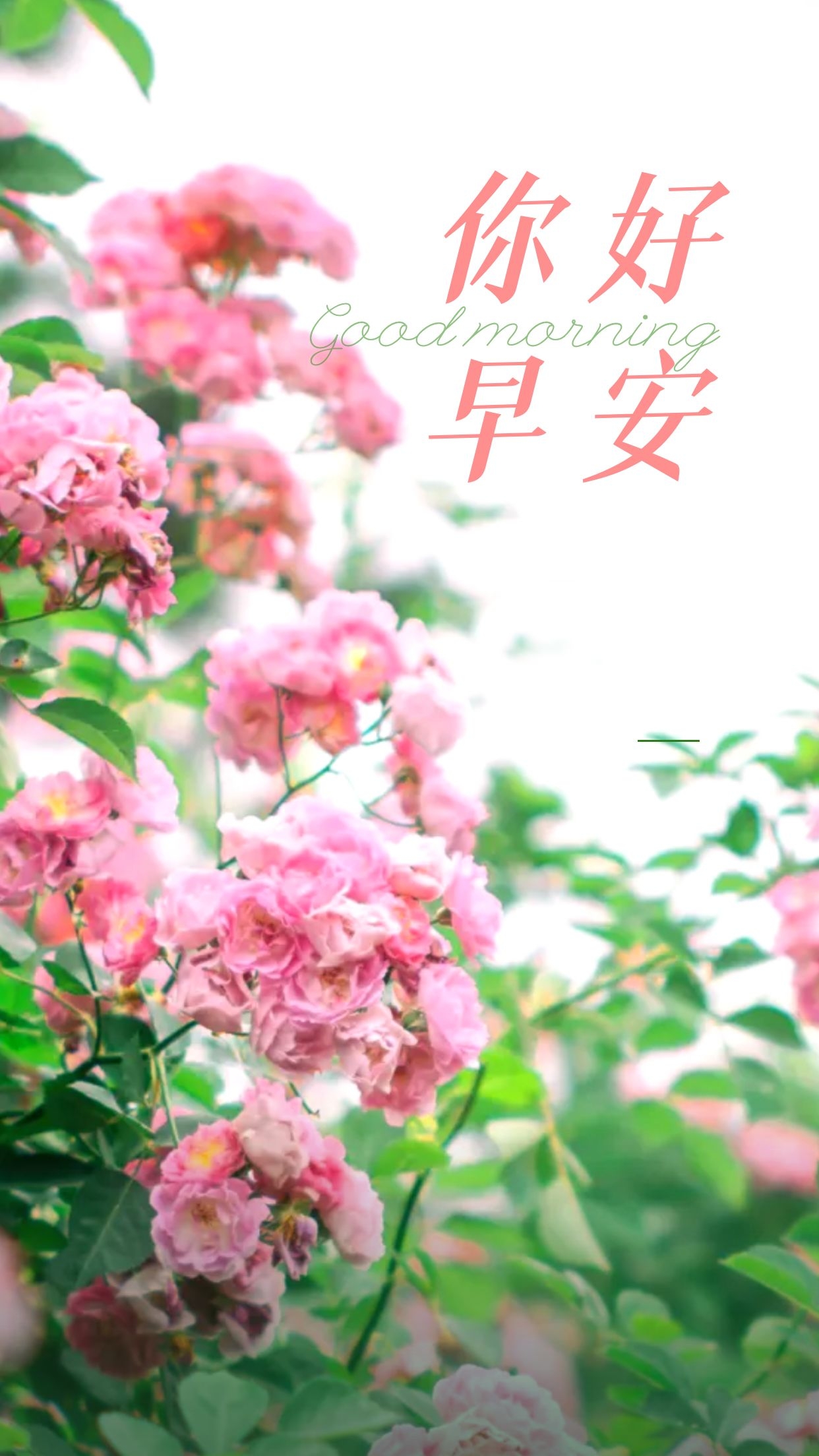 正能量早安心语图片说说,与其用泪水悔恨今天,不如用汗水拼搏