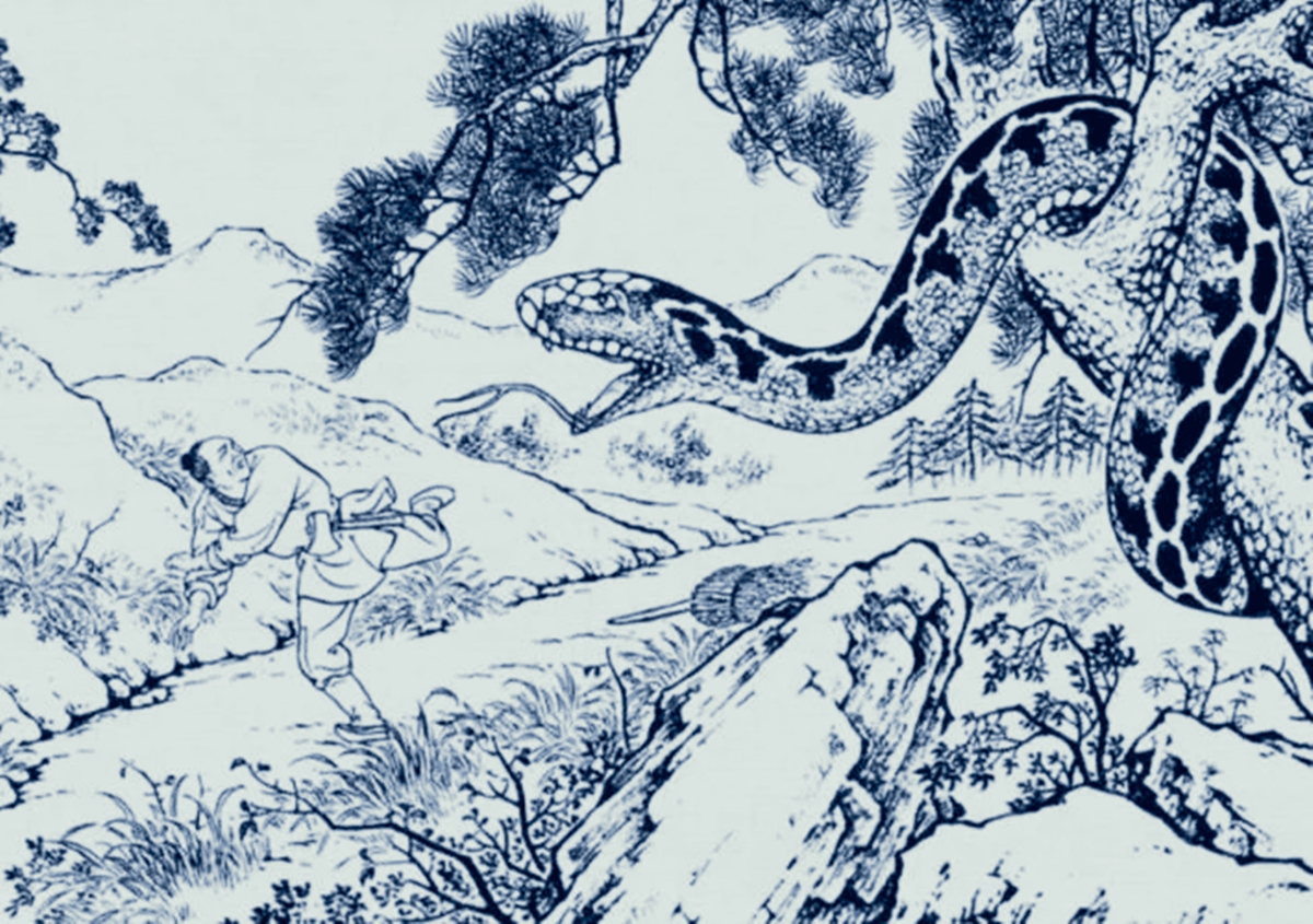 民间故事男子放生母蛇妻子病重时母蛇托梦小心你请来的郎中