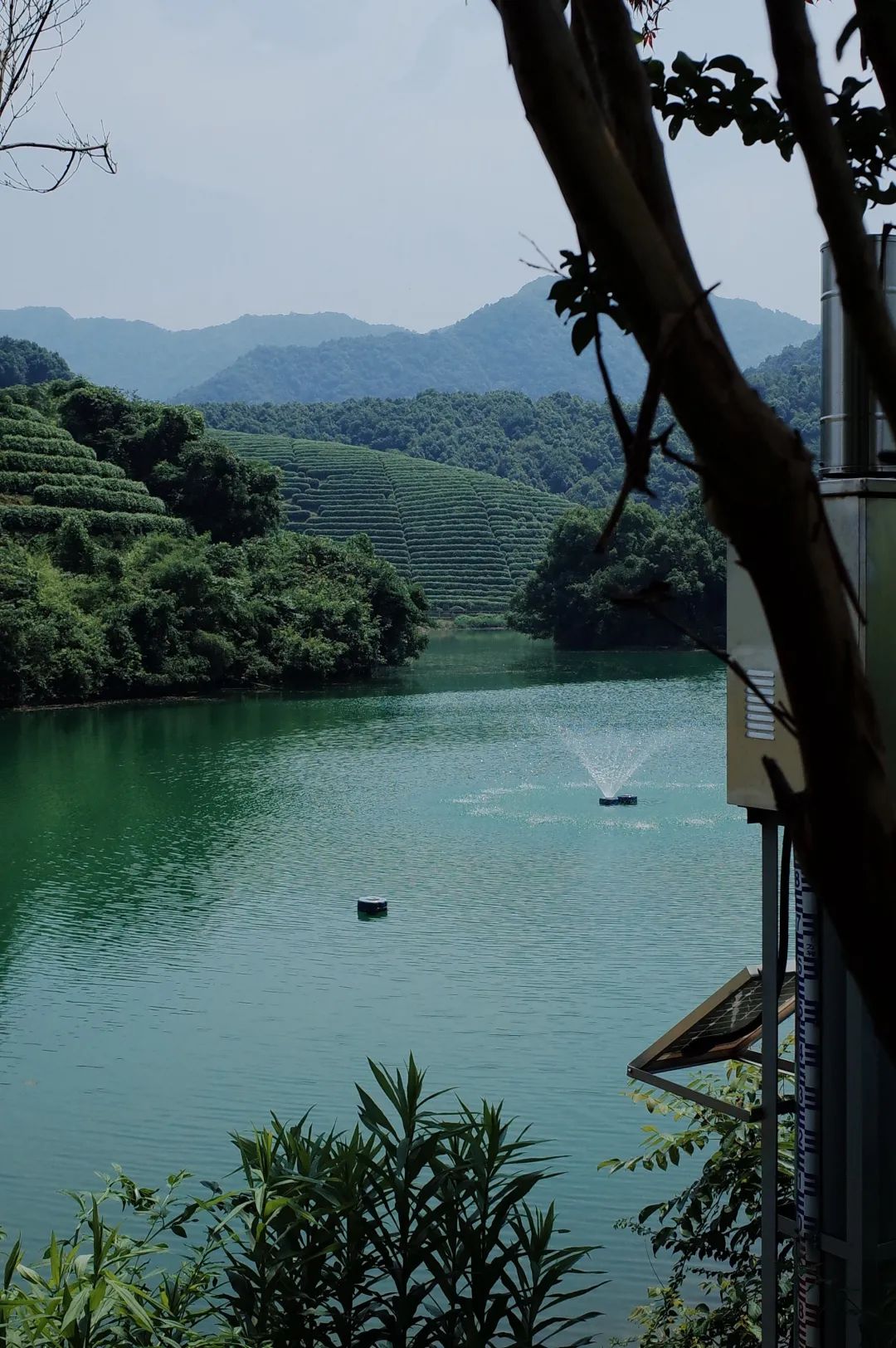 龙尾巴山塘水库