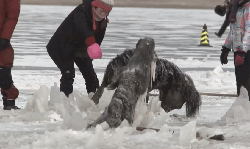 几亿人在寻找真相