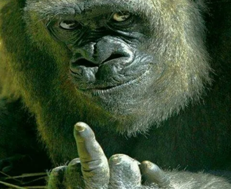 你不知道的竖中指,它为什么能让人生气,又能让人开心?