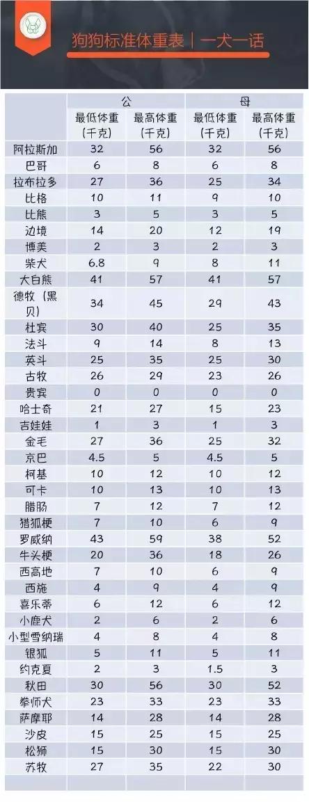 你家狗狗太胖或太瘦怎么办?参考狗狗体重表