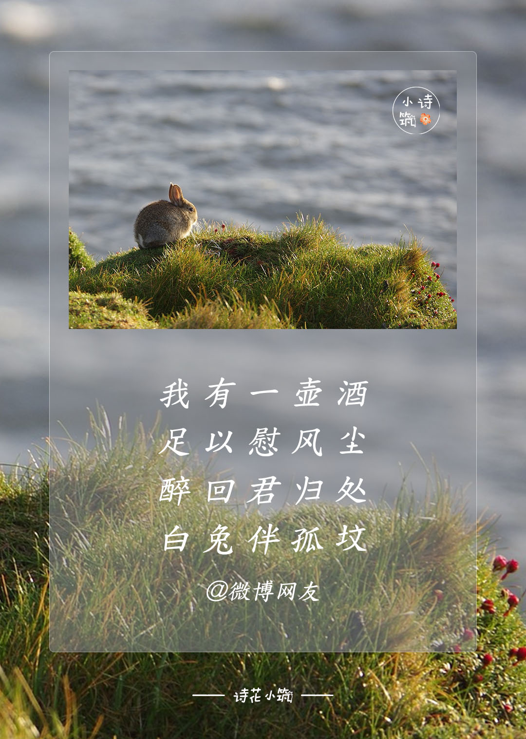 "我有一壶酒,足以慰风尘"引万千读者续写,你会续写什么?