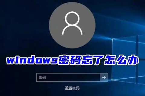 windows8密码错误图片