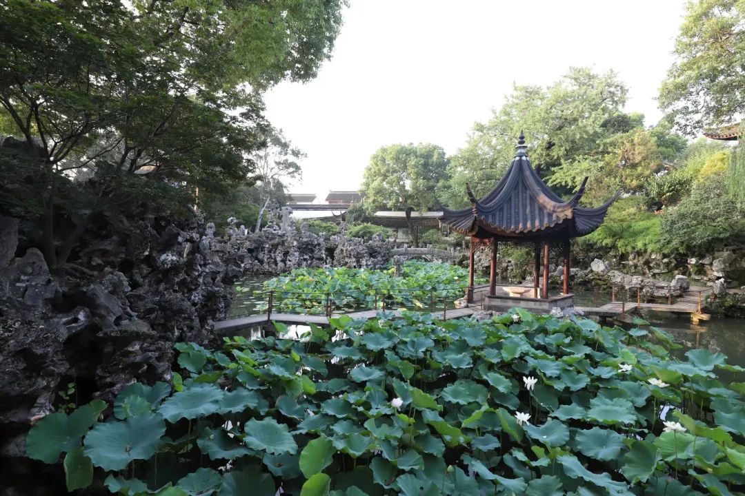 這個夏天,蘇州園林